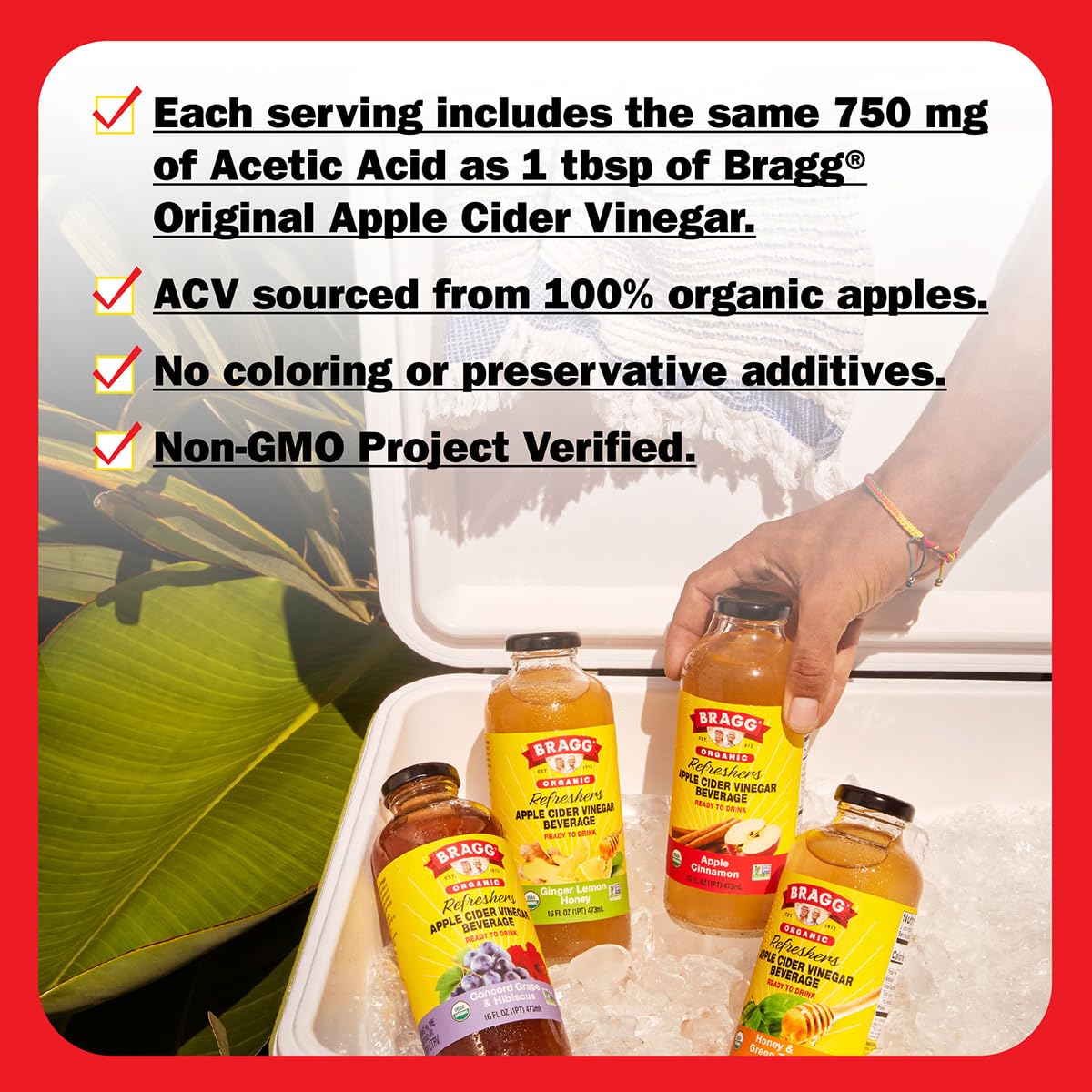Bragg Honey and Green Tea Apple Cider Vinegar Refresher - (2 Pack) 16 fl oz - Raw and Unfiltered