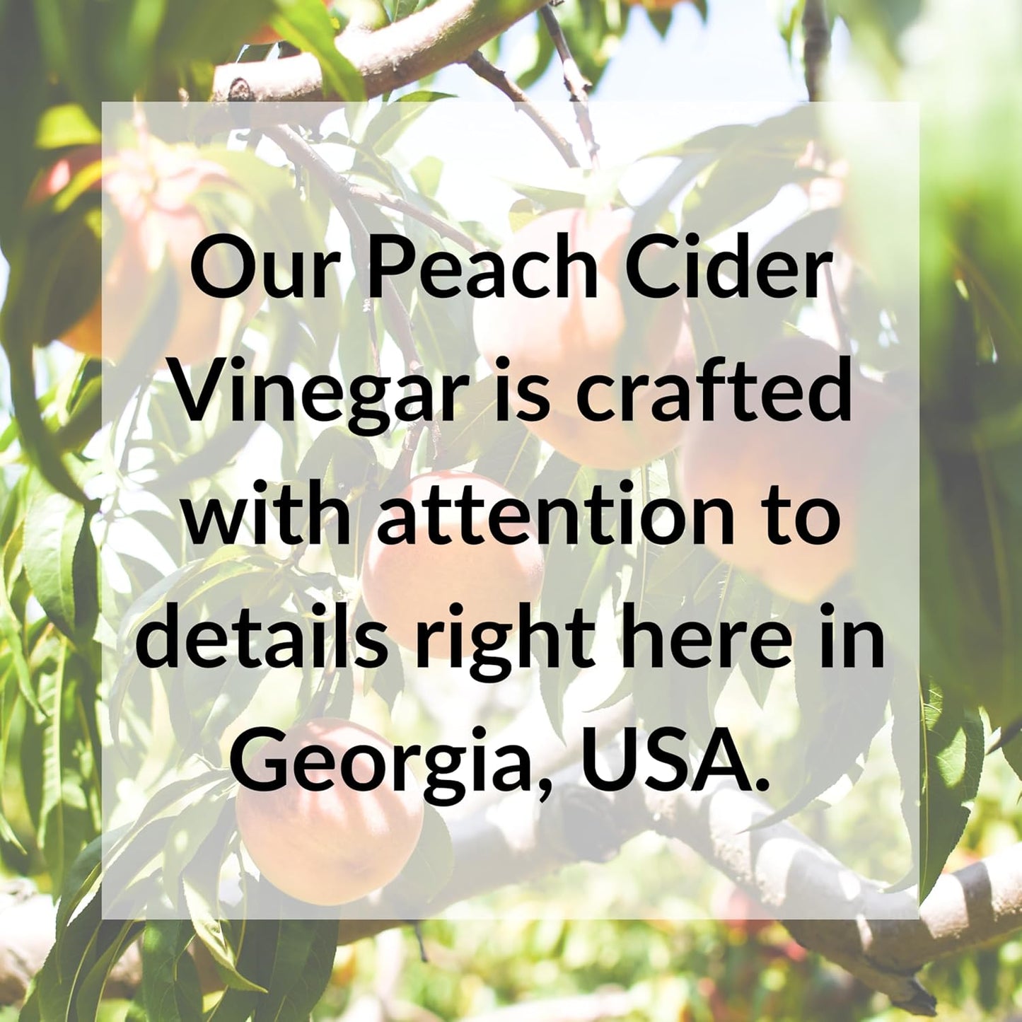 Fresh Press Farms Organic Peach Cider Vinegar with the Mother, 16.4 Fl Oz (Pack of 2), Georgia Grown, Raw, Unfiltered, Certified Whole30, Non-GMO