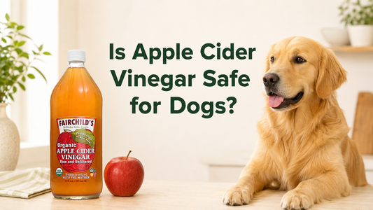 Is Apple Cider Vinegar Safe for Dogs?