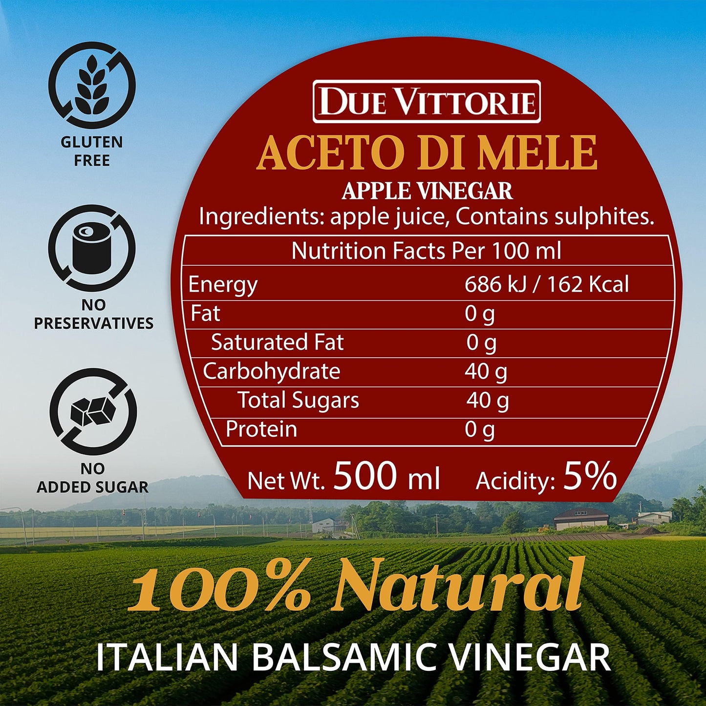 Due Vittorie Italian Apple Cider Vinegar Aged in Wine Barrels – 16.9 fl oz