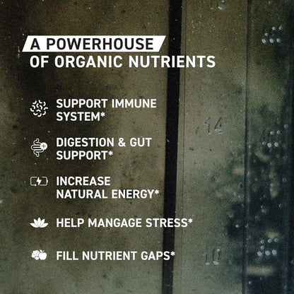 Kaged Organic Greens Superfood Powder, Outlive100 Apple Cinnamon, Supergreens, Apple Cider Vinegar, Ashwagandha, 30 Servings